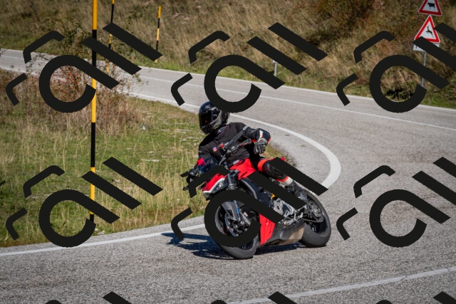 202510041219-DSC_7707_c2