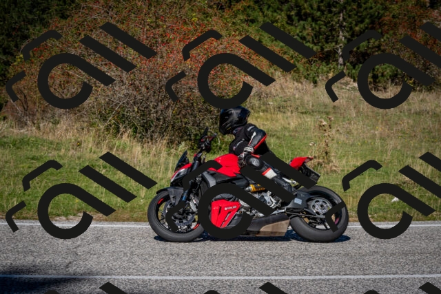 202510041219-DSC_7708_c2