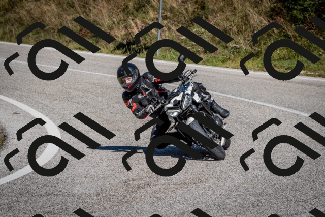 202510041219-DSC_7710_c2