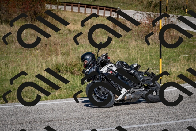 202510041219-DSC_7711_c2