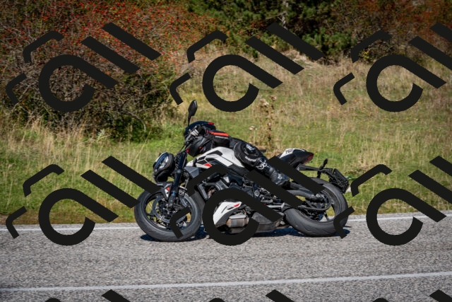 202510041219-DSC_7712_c2