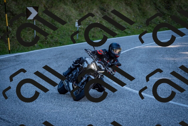 202510041220-DSC_7714_c2