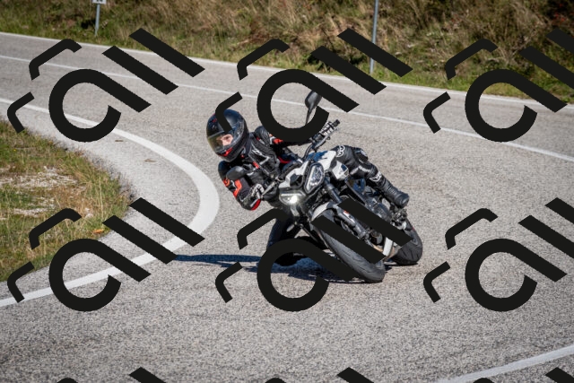 202510041221-DSC_7717_c2