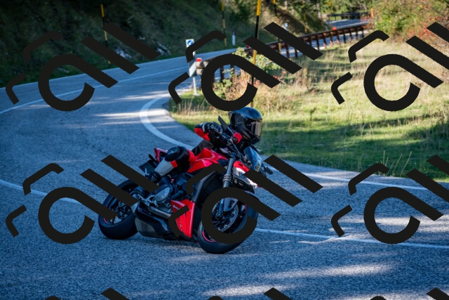 202510041221-DSC_7718_c2