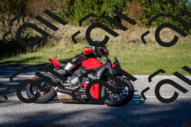 202510041221-DSC_7719_c2