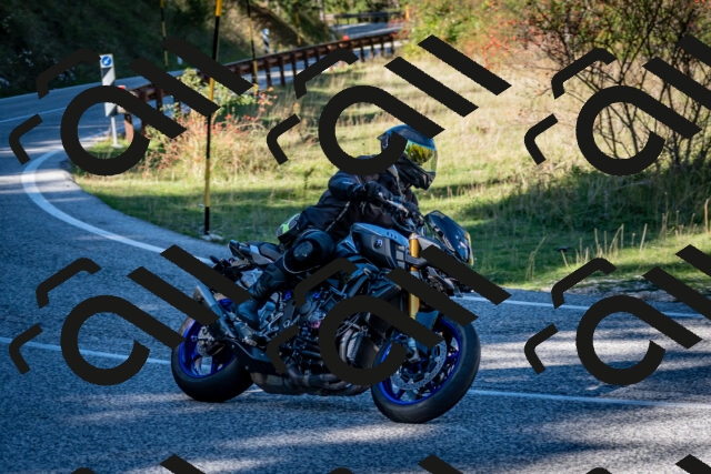 202510041221-DSC_7720_c2