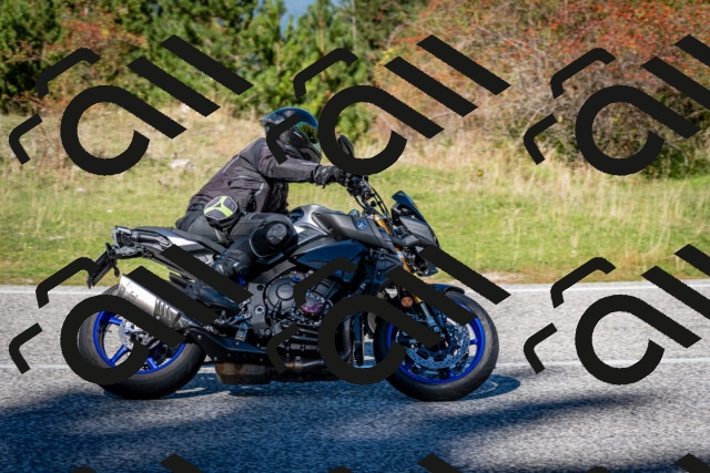 202510041221-DSC_7721_c2