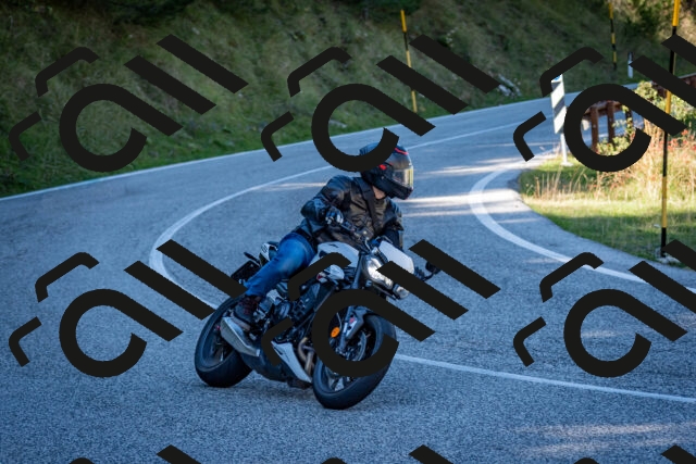 202510041221-DSC_7722_c2