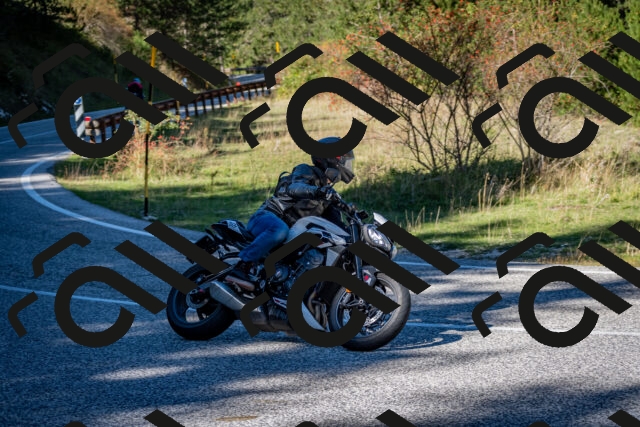 202510041221-DSC_7723_c2