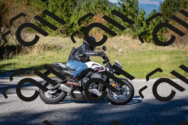 202510041221-DSC_7724_c2