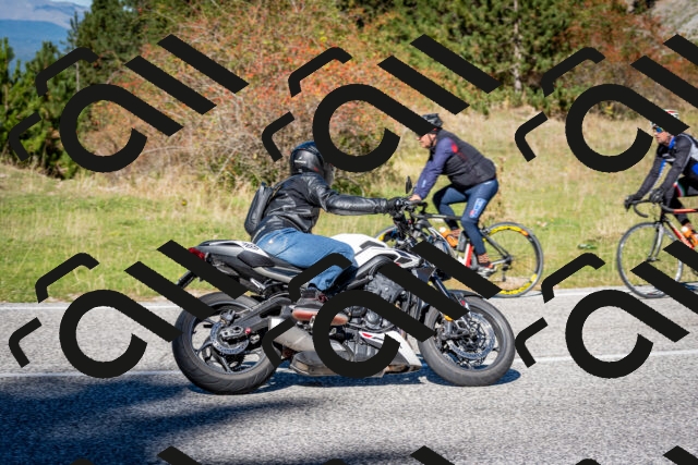 202510041221-DSC_7725_c2