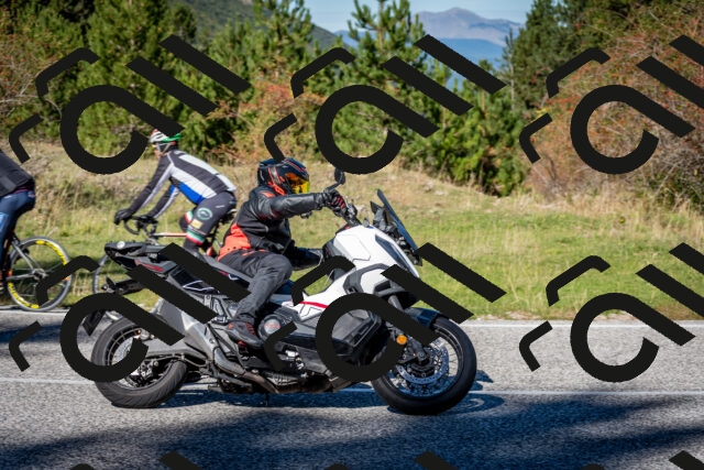 202510041221-DSC_7726_c2