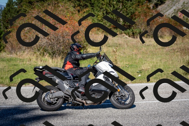 202510041221-DSC_7727_c2