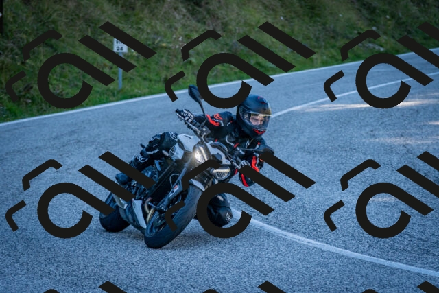 202510041221-DSC_7729_c2