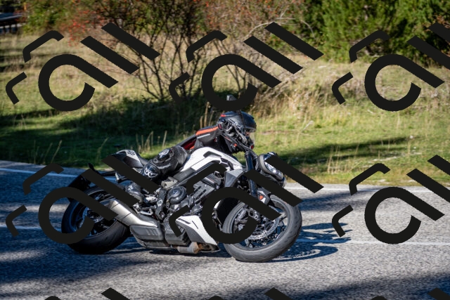 202510041221-DSC_7730_c2