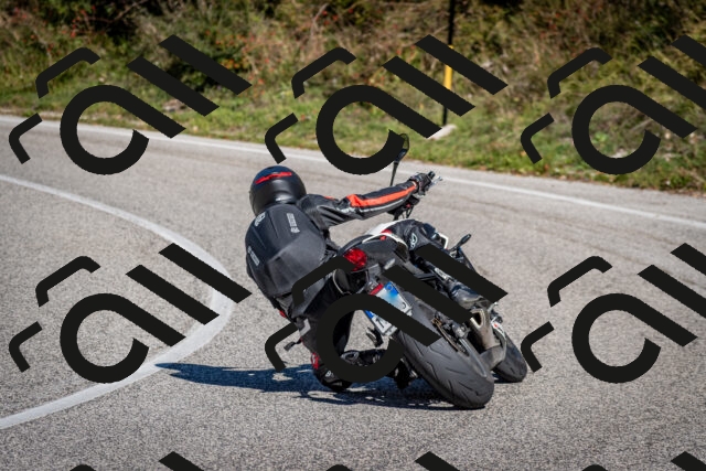 202510041221-DSC_7731_c2