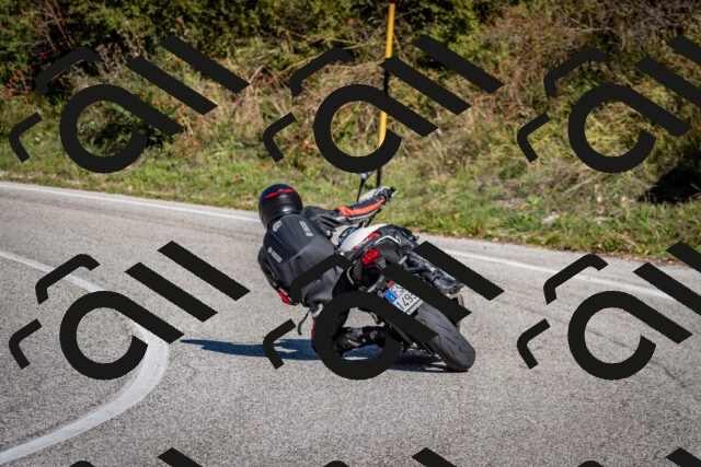 202510041221-DSC_7732_c2