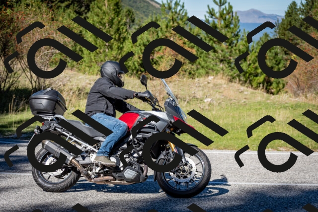 202510041222-DSC_7735_c2