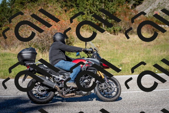 202510041222-DSC_7736_c2