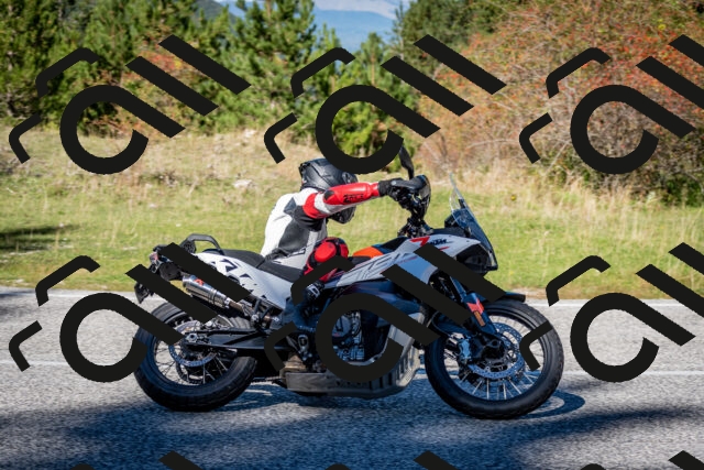 202510041222-DSC_7737_c2