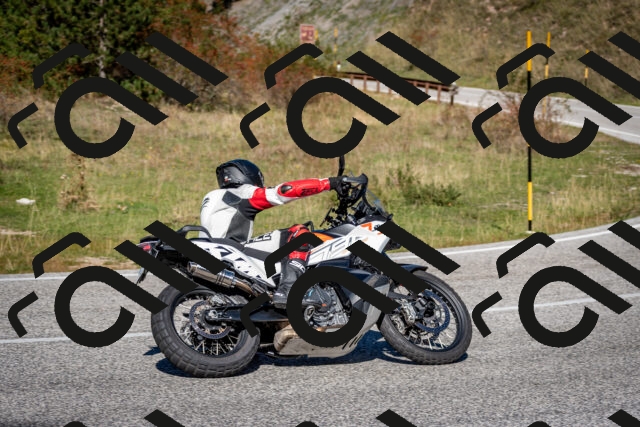 202510041222-DSC_7738_c2