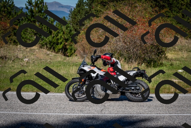 202510041224-DSC_7742_c2