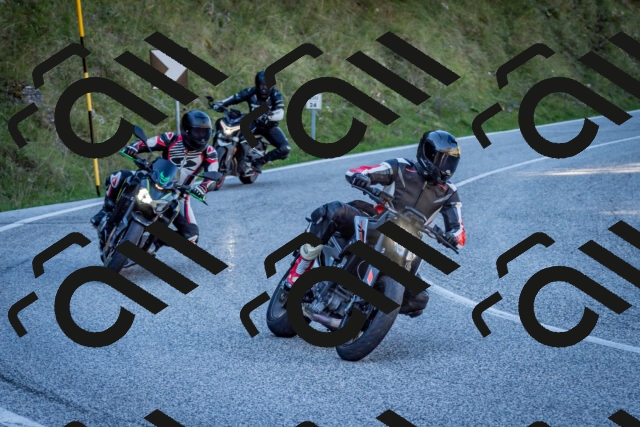 202510041227-DSC_7743_c2