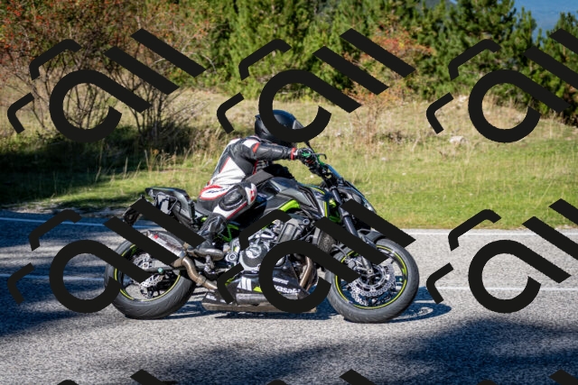 202510041227-DSC_7747_c2