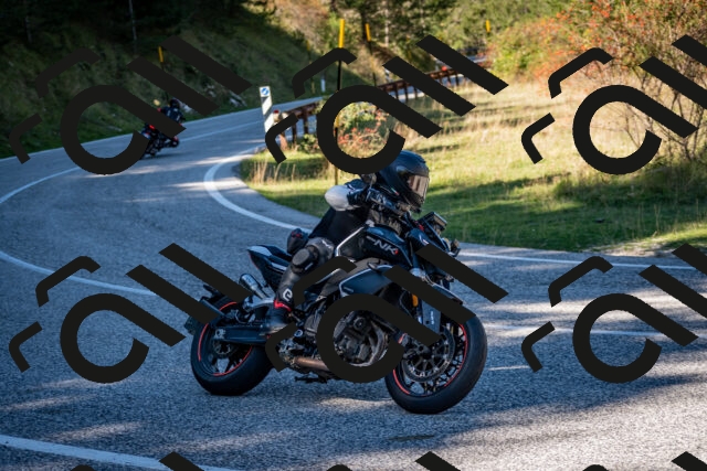 202510041227-DSC_7748_c2