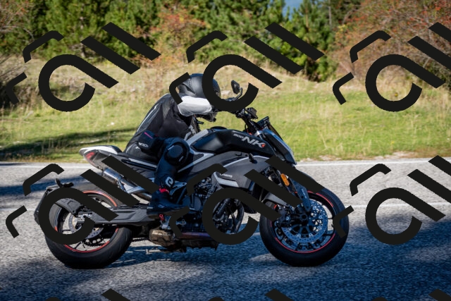 202510041227-DSC_7749_c2