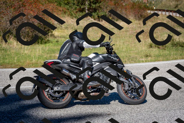 202510041227-DSC_7750_c2