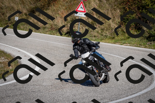 202510041227-DSC_7751_c2