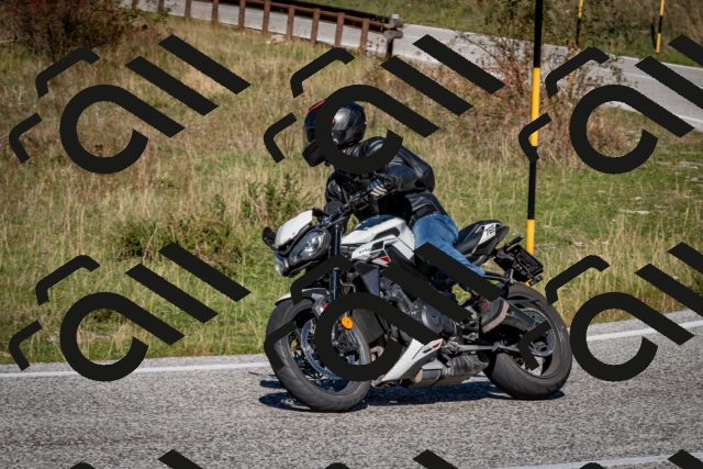 202510041227-DSC_7752_c2