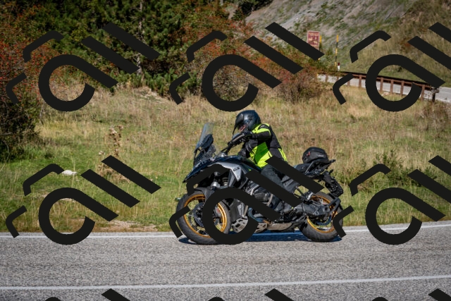 202510041227-DSC_7754_c2