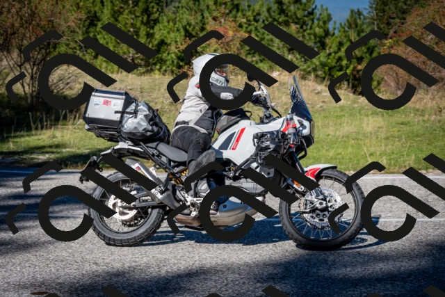 202510041229-DSC_7759_c2