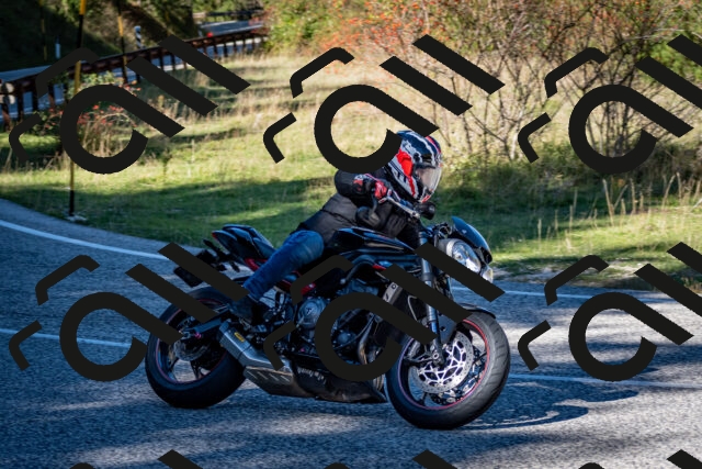 202510041229-DSC_7764_c2