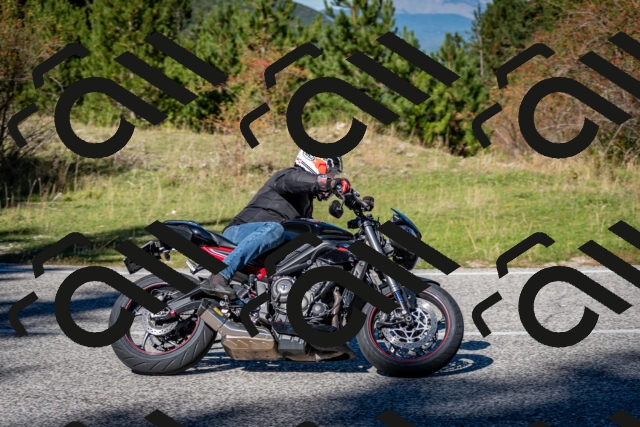 202510041229-DSC_7765_c2