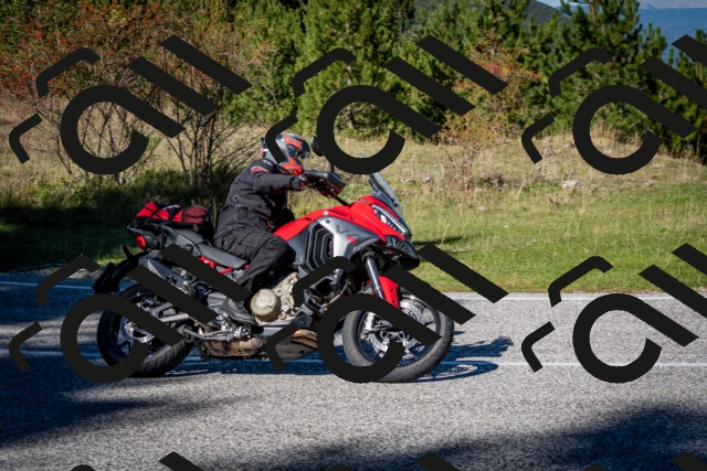 202510041229-DSC_7766_c2