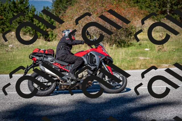 202510041229-DSC_7767_c2