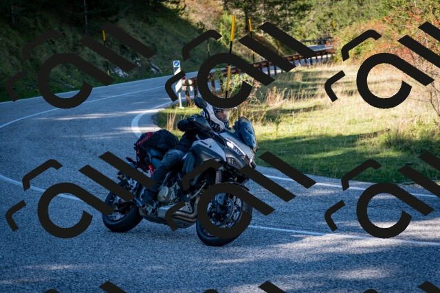 202510041229-DSC_7768_c2