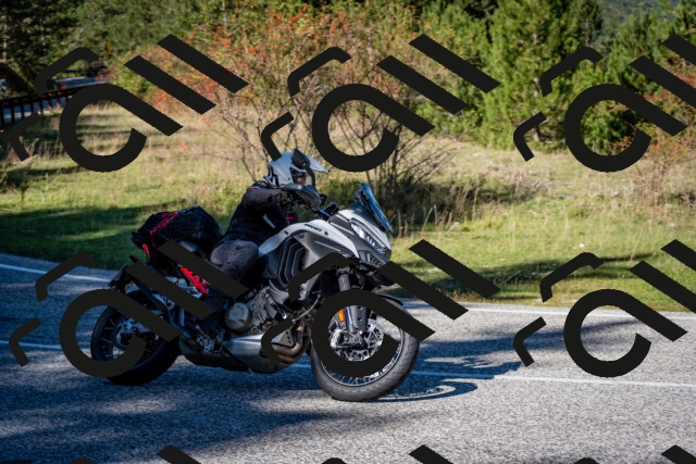 202510041229-DSC_7769_c2