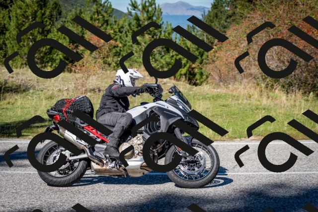 202510041229-DSC_7770_c2