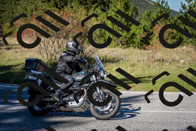 202510041229-DSC_7774_c2