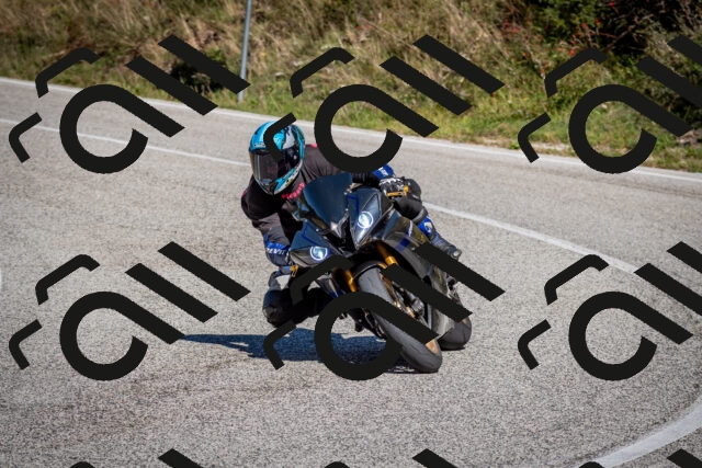 202510041229-DSC_7778_c2