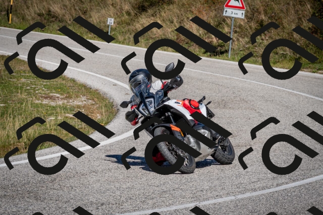 202510041229-DSC_7780_c2