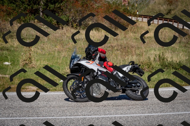 202510041229-DSC_7781_c2