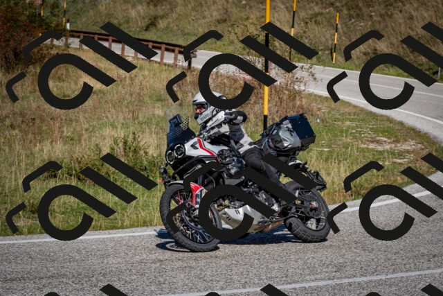 202510041229-DSC_7783_c2