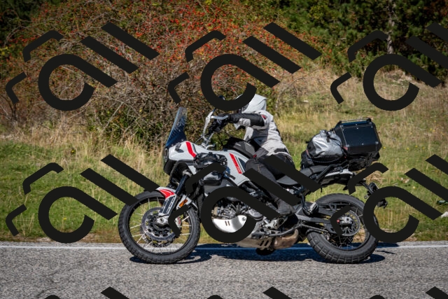 202510041229-DSC_7784_c2