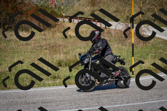 202510041234-DSC_7789_c2