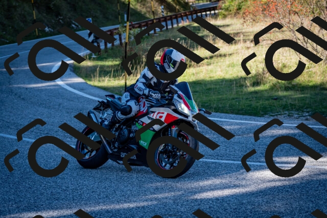 202510041237-DSC_7792_c2